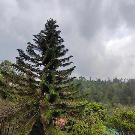 Silver Spruce Entire Nature Villa Kotagiri Bagian luar foto