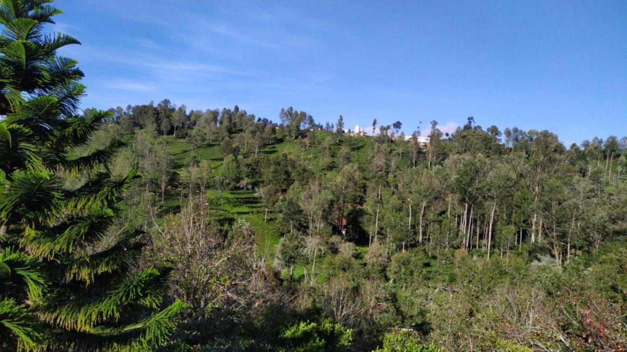 Silver Spruce Entire Nature Villa Kotagiri Bagian luar foto