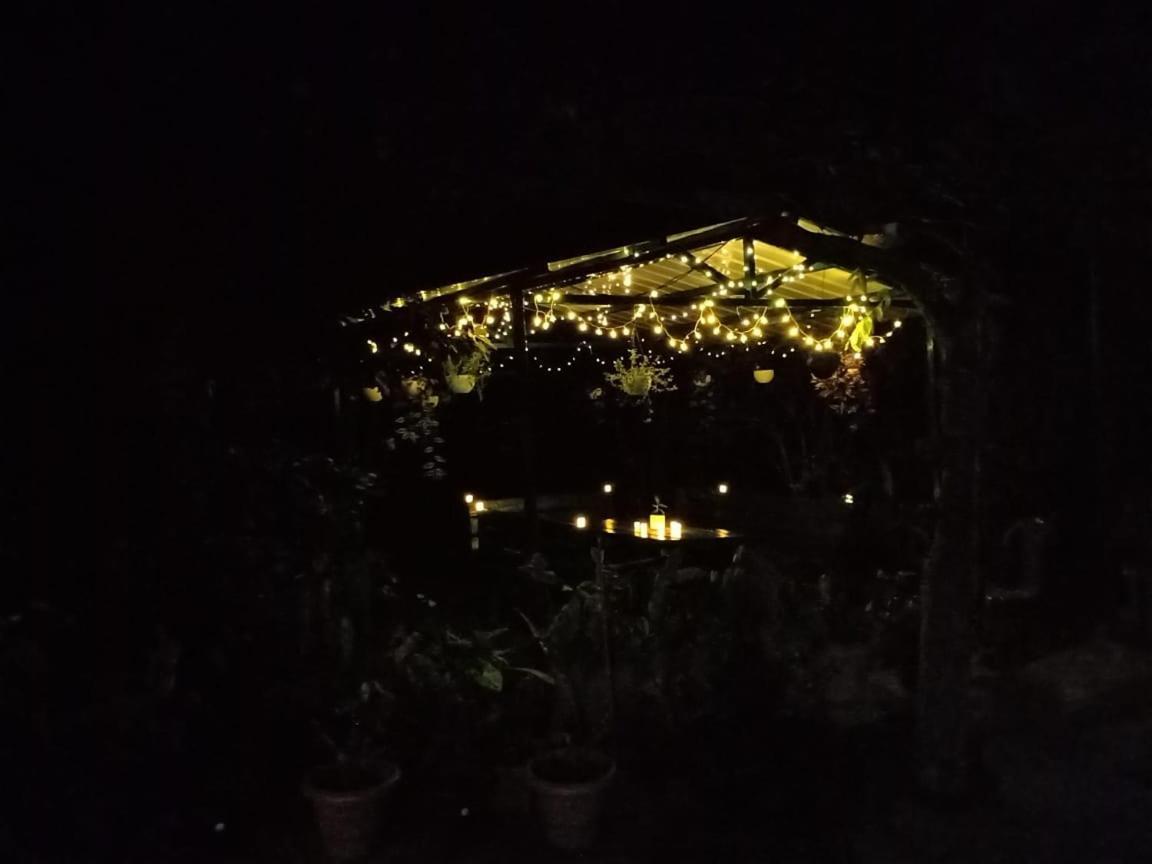 Silver Spruce Entire Nature Villa Kotagiri Bagian luar foto