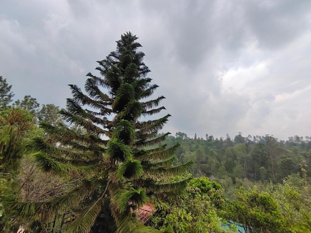 Silver Spruce Entire Nature Villa Kotagiri Bagian luar foto