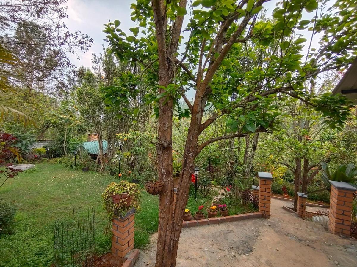 Silver Spruce Entire Nature Villa Kotagiri Bagian luar foto