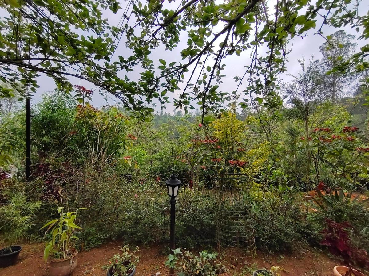 Silver Spruce Entire Nature Villa Kotagiri Bagian luar foto